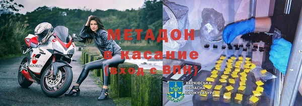 прущие грибы Алексеевка