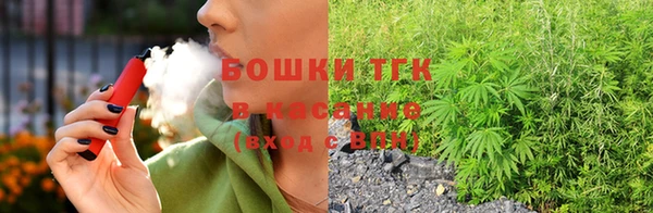 прущие грибы Алексеевка