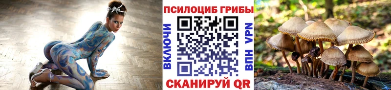 Псилоцибиновые грибы Magic Shrooms  Луга 