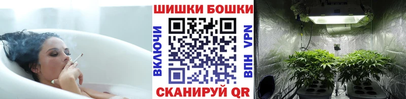 наркотики Луга ссылка на мегу сайт Каннабис план